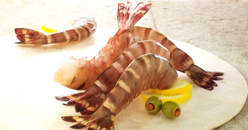 Tropical Biomarine